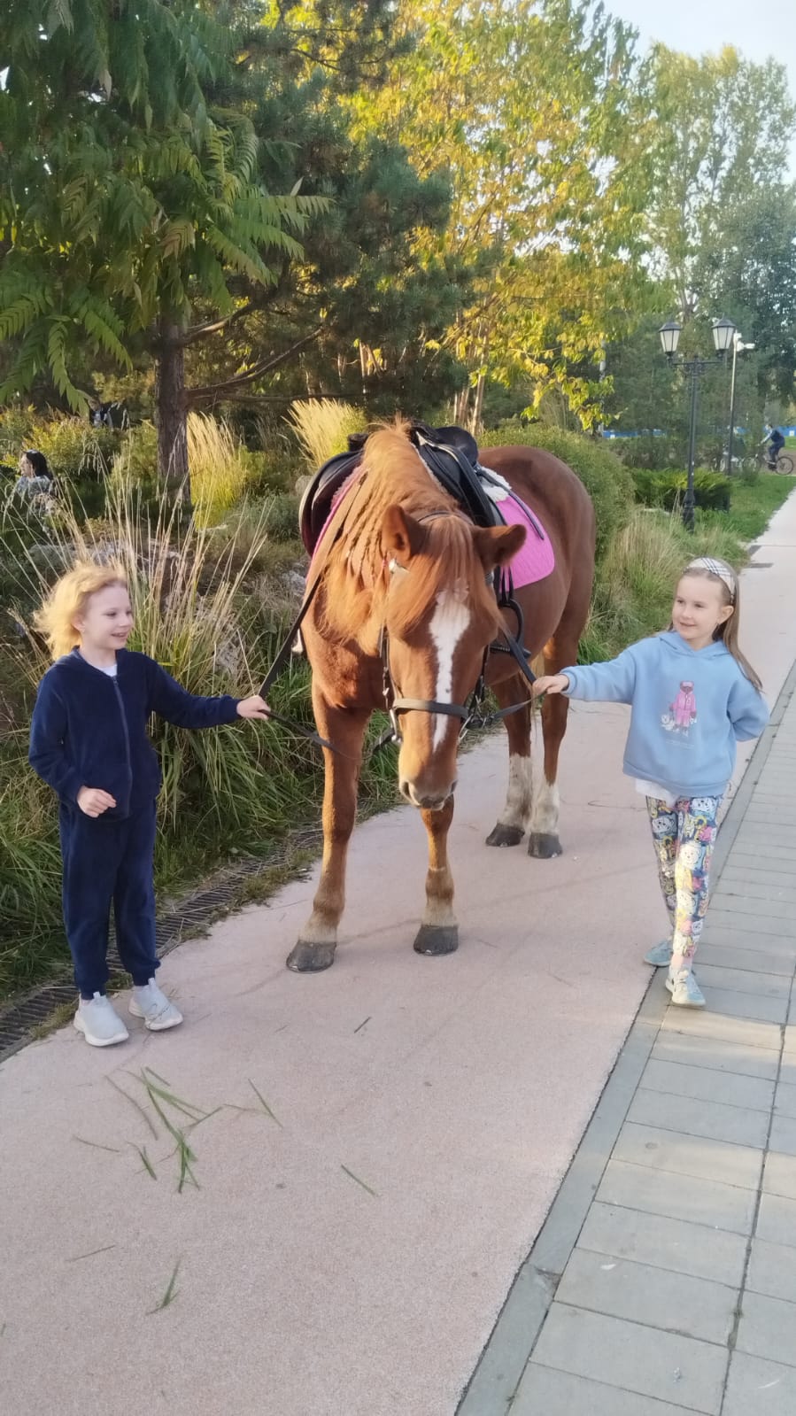 Мероприятие №25