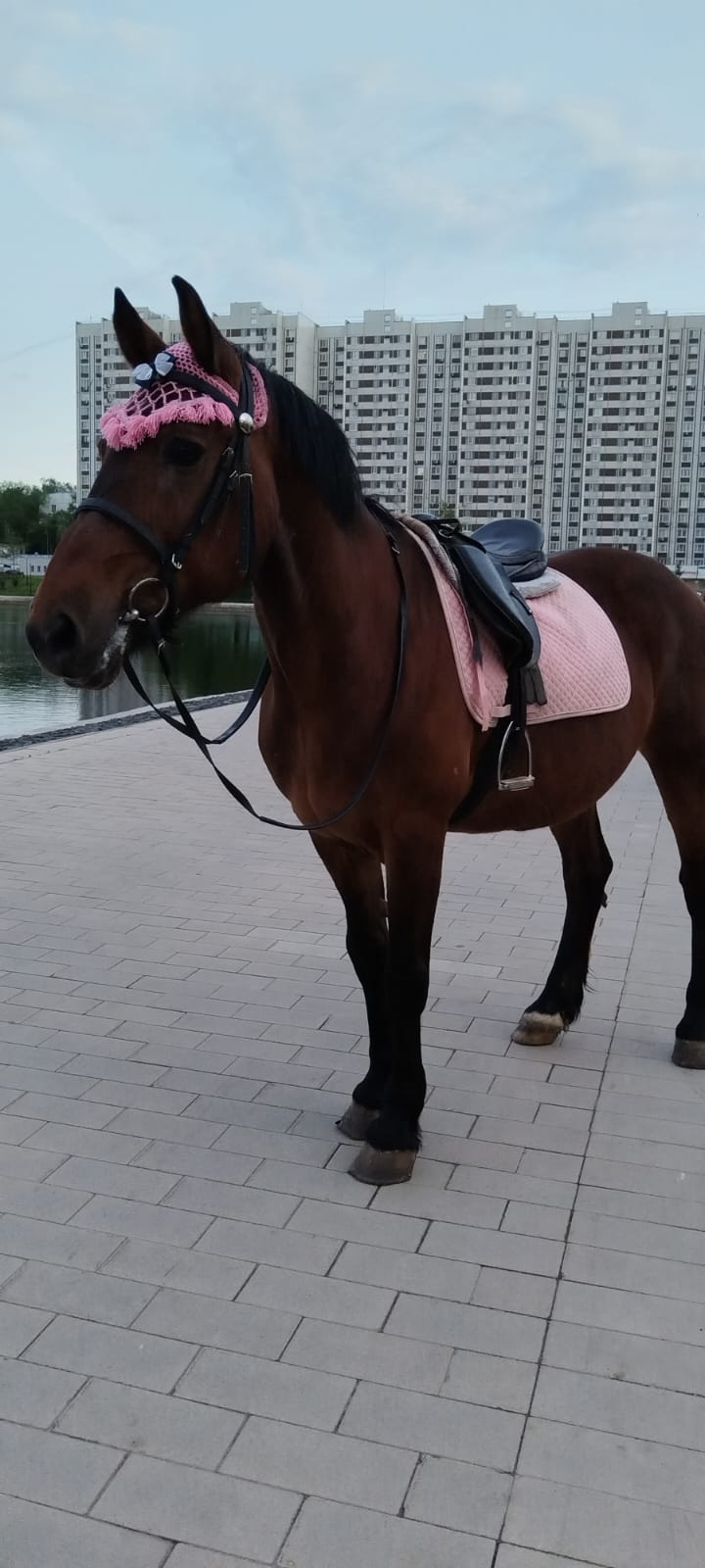 Мероприятие №28