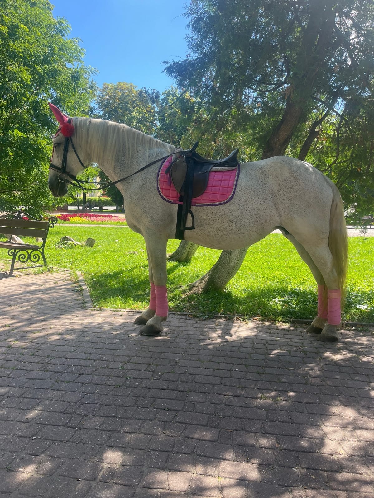 Мероприятие №29