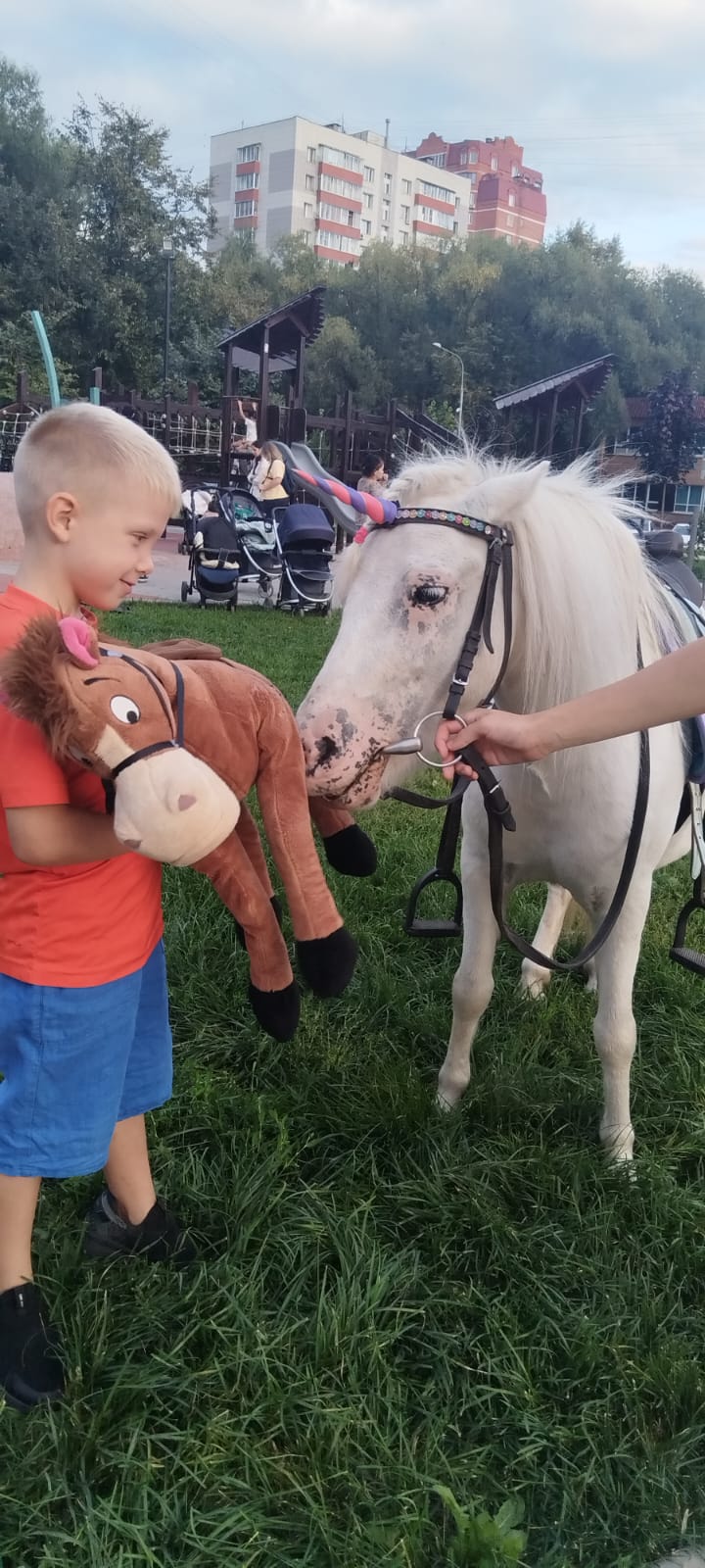 Мероприятие №31