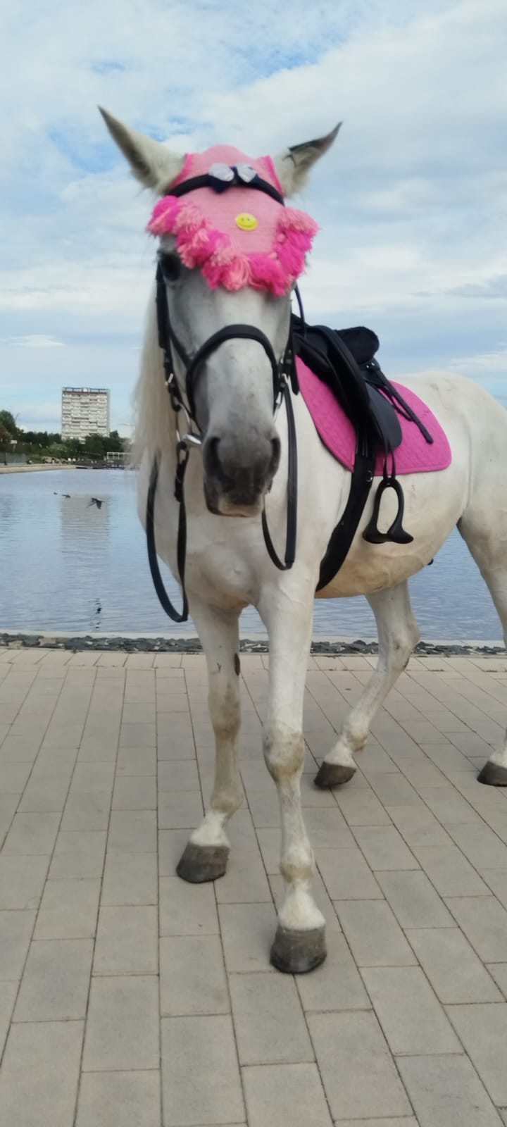 Мероприятие №32